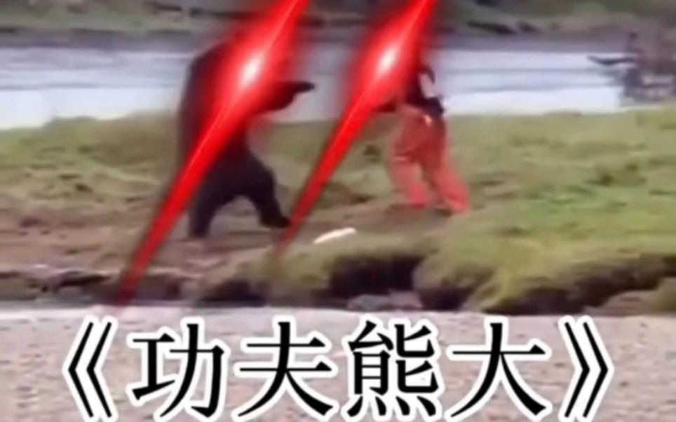搞笑动物版满级视频下载_(搞笑动物版满级视频下载安装)