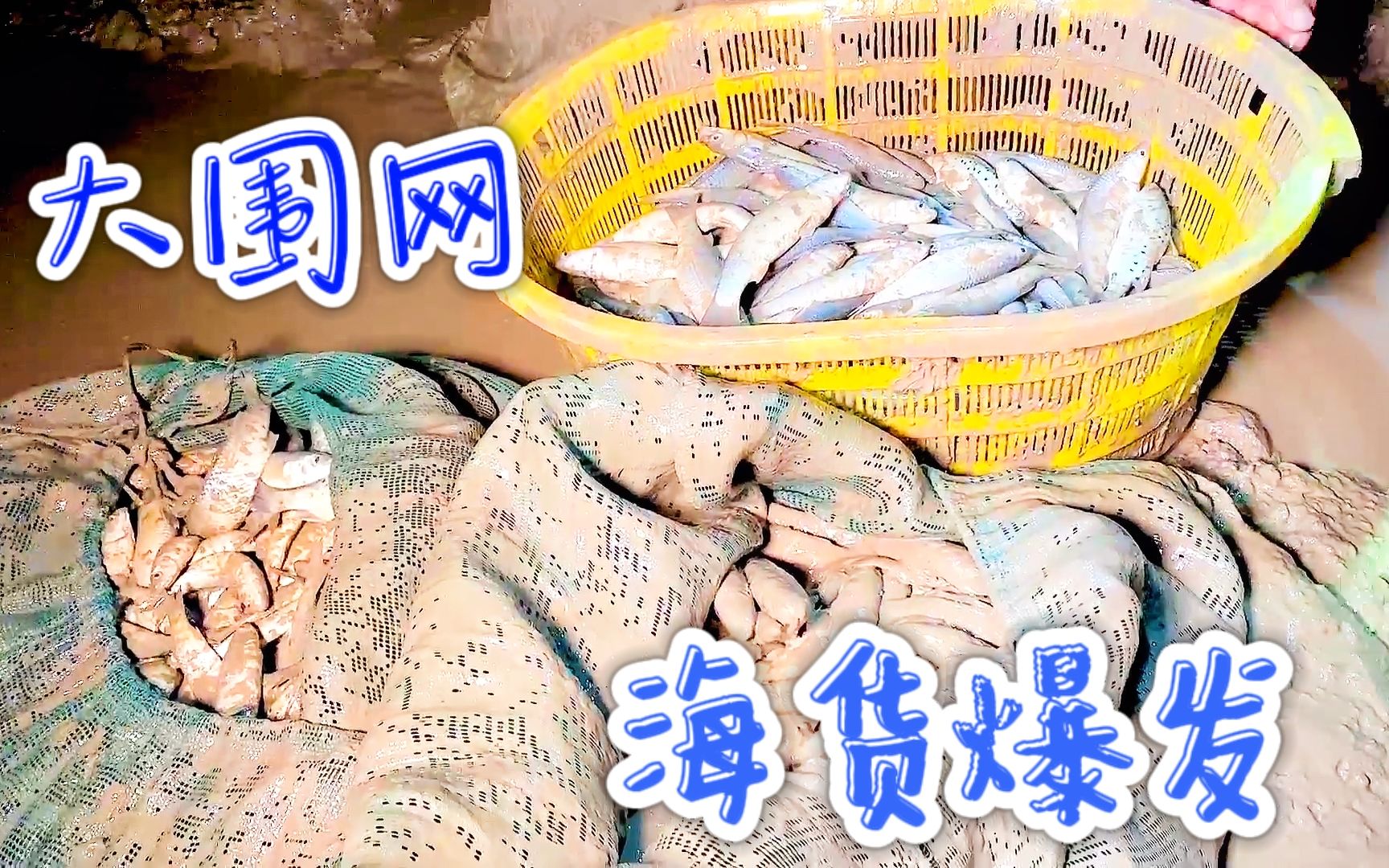 海龙哥最新视频全集下载_(海哥量地球西瓜视频康小奎现状)
