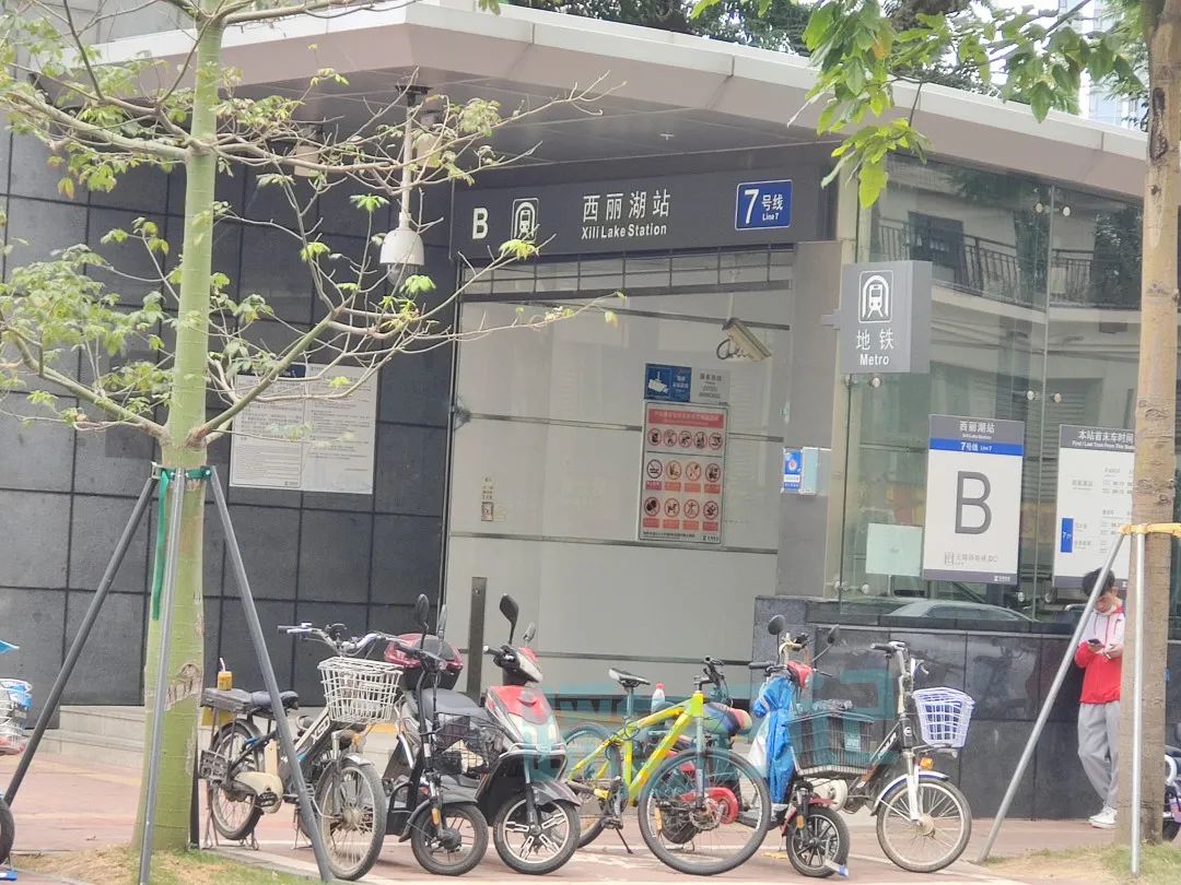 一二四摇号直播视频下载-(一二四摇号直播视频下载免费)